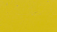 BLVC235, Snapdragon Yellow